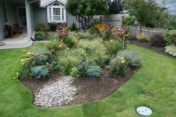 Rain Garden With Purple Coneflower Rain Garden With Purple Coneflower