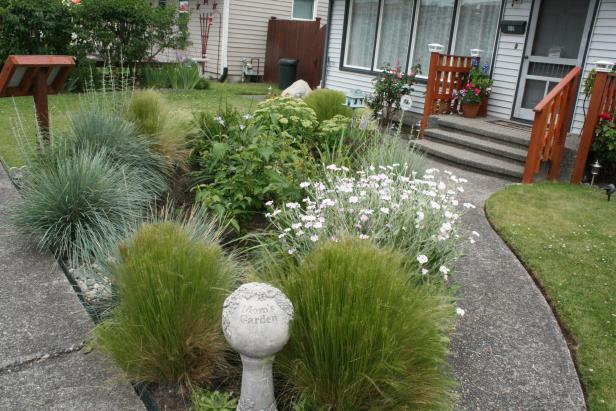 Rain Garden With Grasses and Perennials Rain Garden With Grasses and Perennials