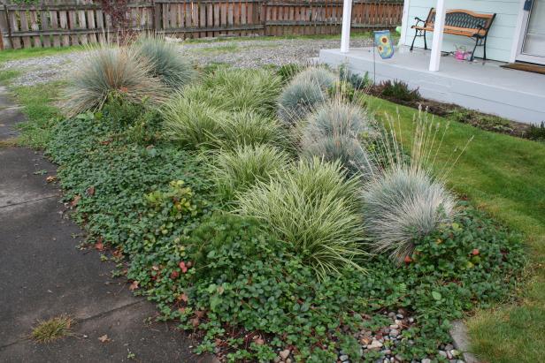 Rain Garden in Small Front Yard Rain Garden in Small Front Yard