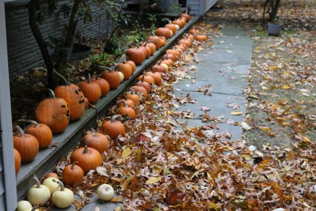 How to maintain your yard and garden this fall. How to maintain your yard and garden this fall.