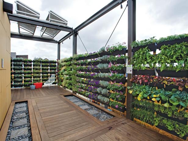 Rooftop Garden Rooftop Garden
