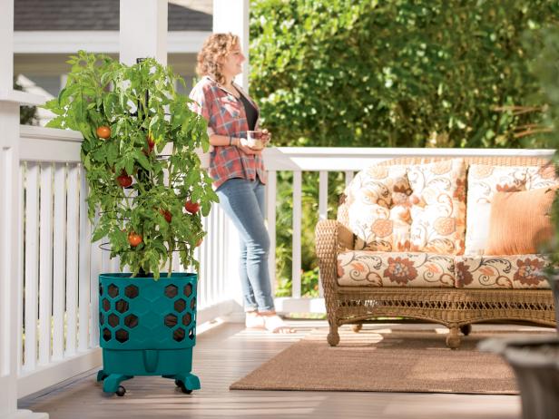 Tomato Planter Tomato Planter