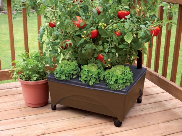 Small Space Raised Bed Small Space Raised Bed