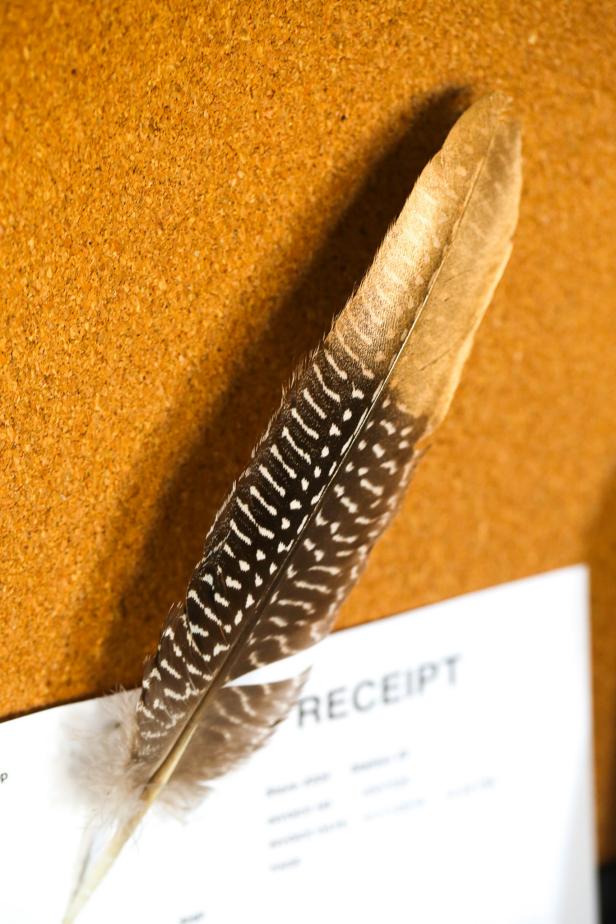 Golden Feather Pushpins Golden Feather Pushpins