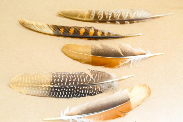 Golden Painted Feathers Golden Painted Feathers