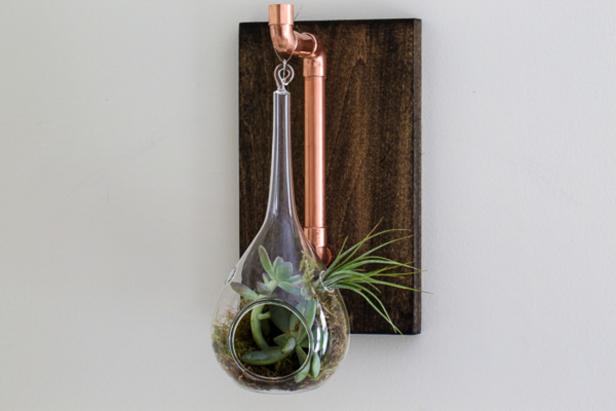 Finish the Hanging Planter Finish the Hanging Planter