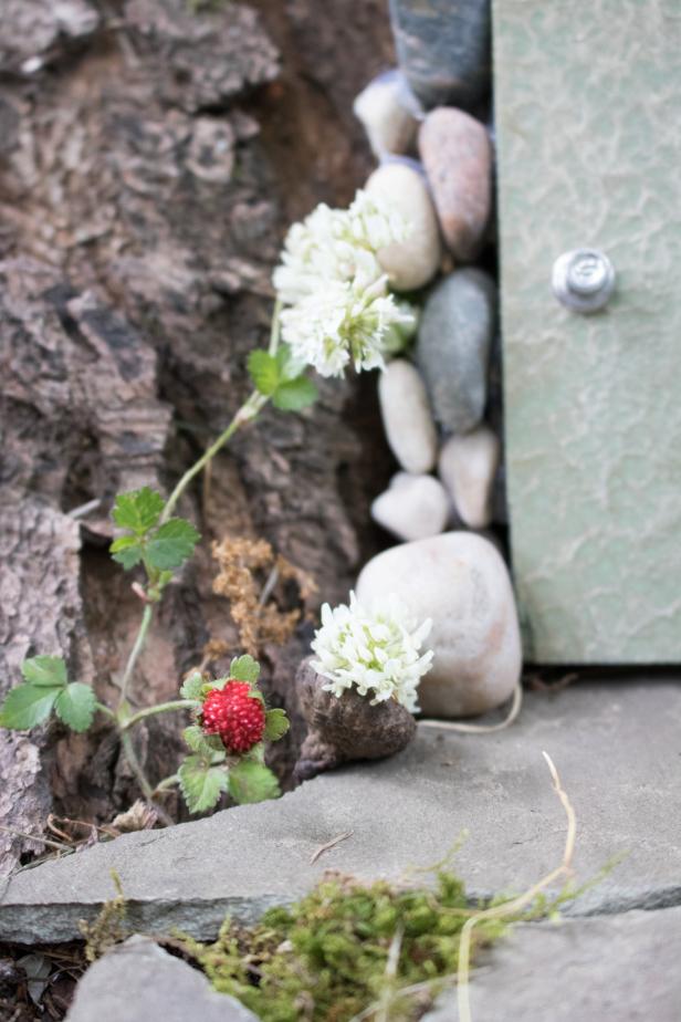 DIY Accessories For Your Fairy House DIY Fairy House Accessories