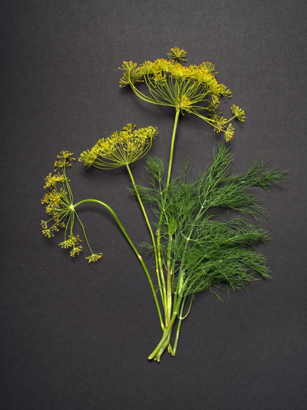 Dill dill