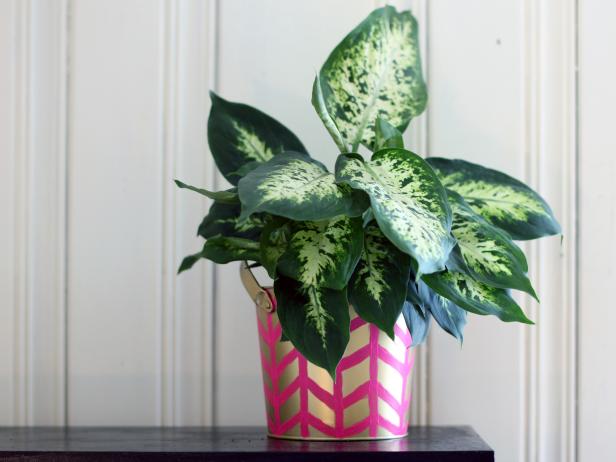 Painted Planter gold and pink DIY planter