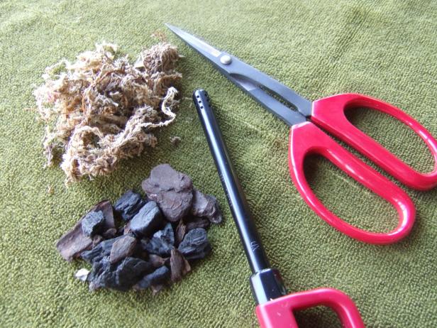 Tools For Repotting An Orchid Tools For Repotting An Orchid