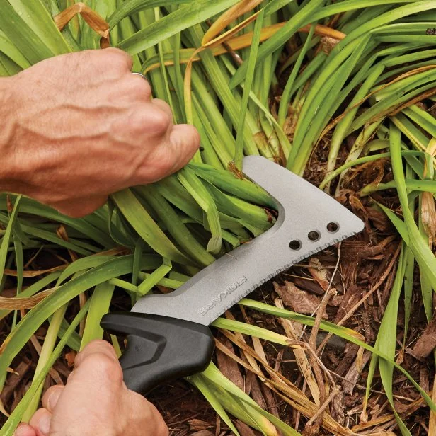 Cutting Back Perennials In Fall