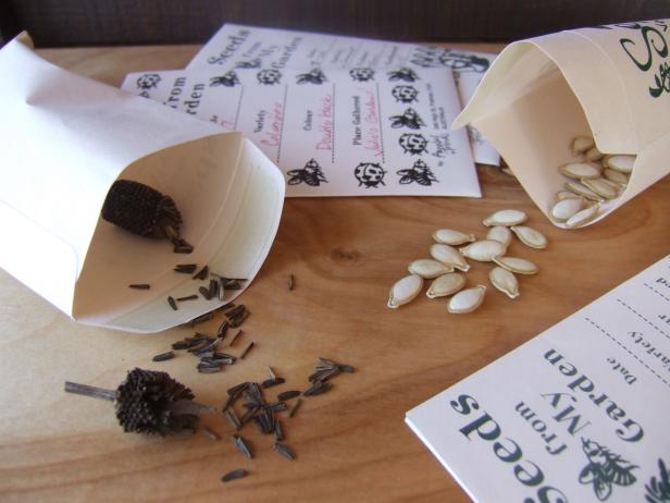 Seeds In Seed Saving Envelopes Seeds In Seed Saving Envelopes