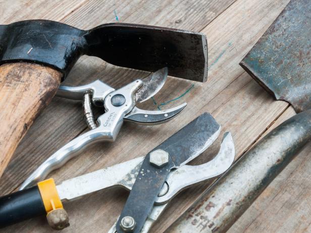 Freshly Cleaned and Sharpened Yard Tools Freshly Cleaned and Sharpened Yard Tools