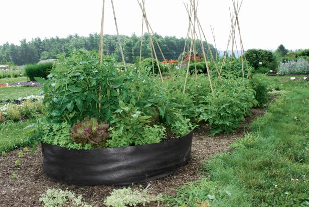 Giant Grow Bag Giant Grow Bag
