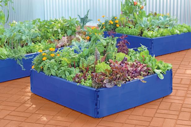 Bright Blue Raised Beds Bright Blue Raised Beds