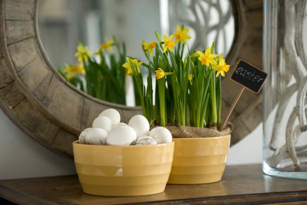 Forced Daffodils At Easter Forced Daffodils At Easter