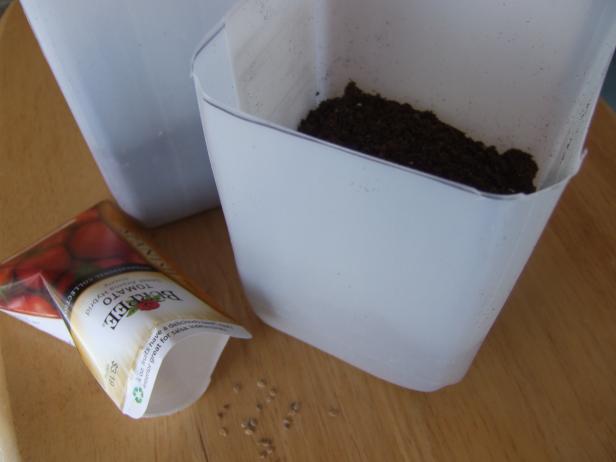 Fill Milk Jug Pots With Soil Fill Milk Jug Pots With Soil