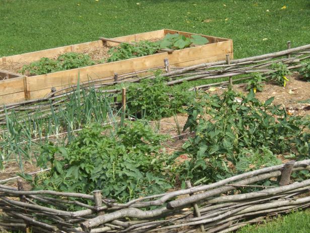 Wattle Fence And Lumber Raised Beds Wattle Fence And Lumber Raised Beds
