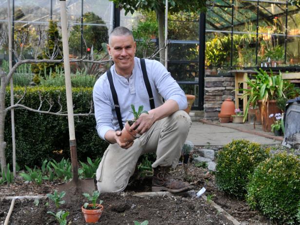 Creative Genius and Gardening Enthusiast, Matt Mattus Creative Genius and Gardening Enthusiast, Matt Mattus