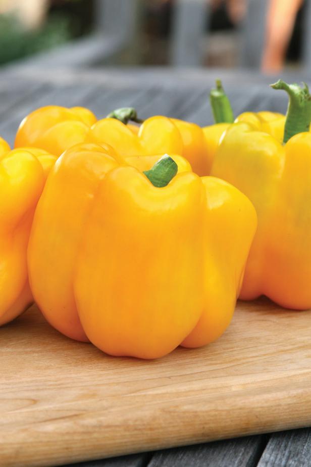 Gold Standard Pepper Gold Standard Pepper