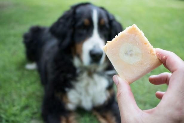 How to Make Dog Ice Cream How to Make Dog Ice Cream