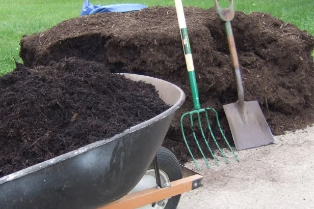 Mulch Pile With Wheelbarrow, Pitchfork And Shovel