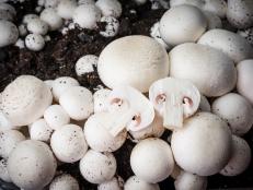 Mushrooms Growing in Soil