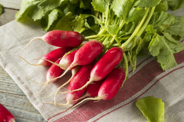 French Breakfast Radishes French Breakfast Radishes