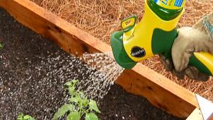 Vegetable Gardening Tips & Ideas | DIY