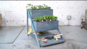 DIY Container Gardening Tips & Ideas | DIY