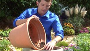 DIY Container Gardening Tips & Ideas | DIY