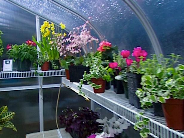 Diy Greenhouse Projects Ideas Diy