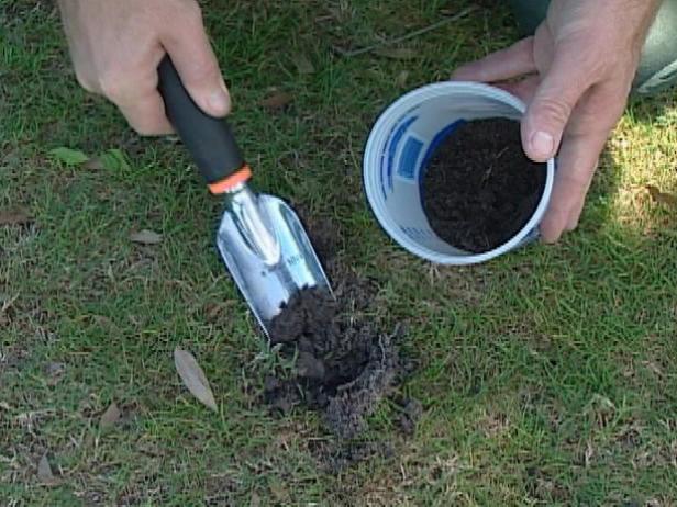 How to Test Your Soil