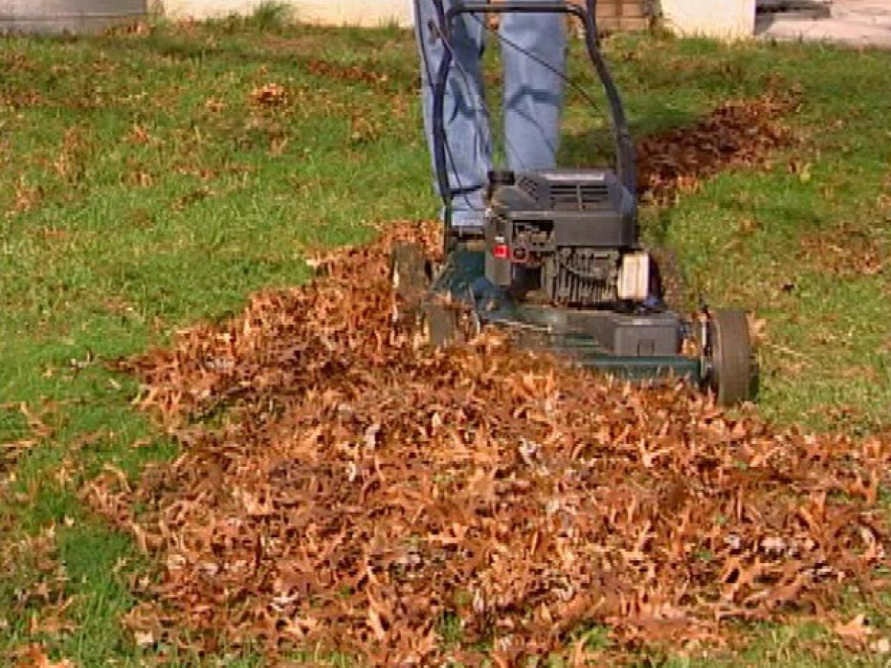 trimming grass edges