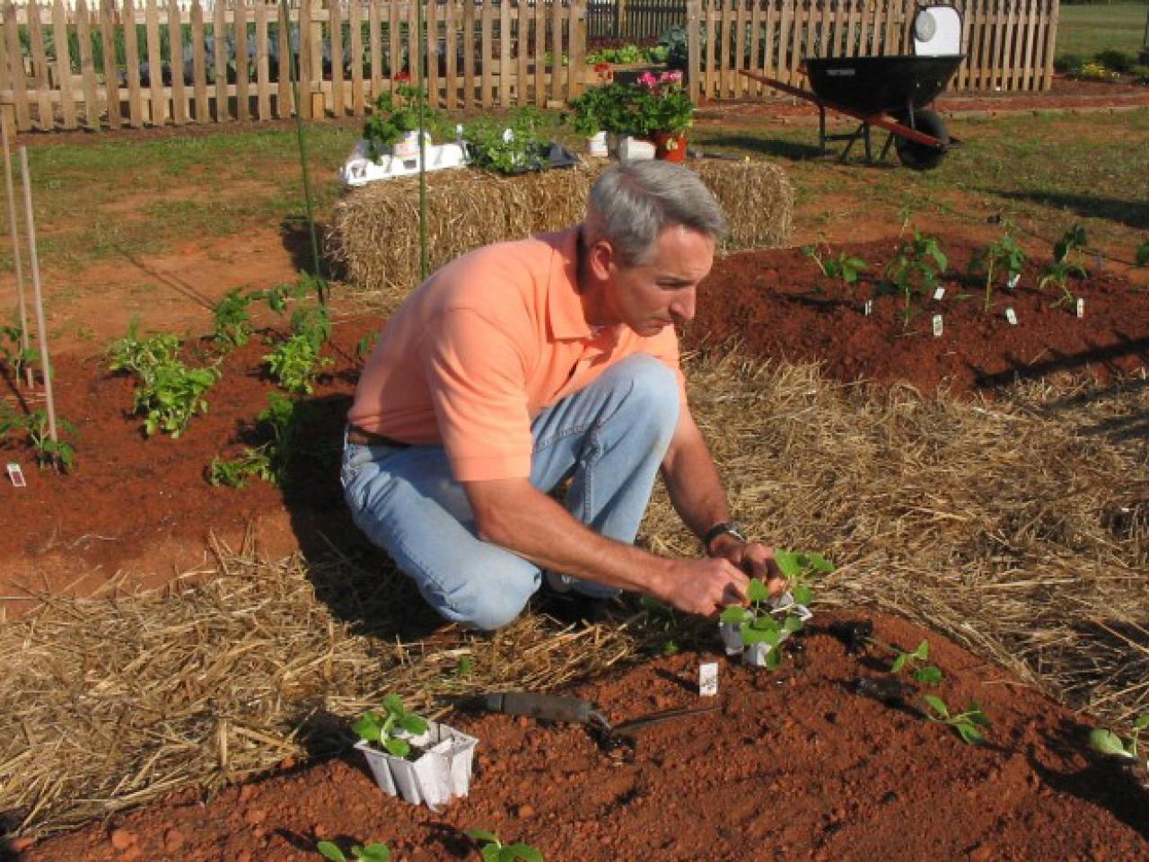 How To Start An Organic Garden How Tos Diy