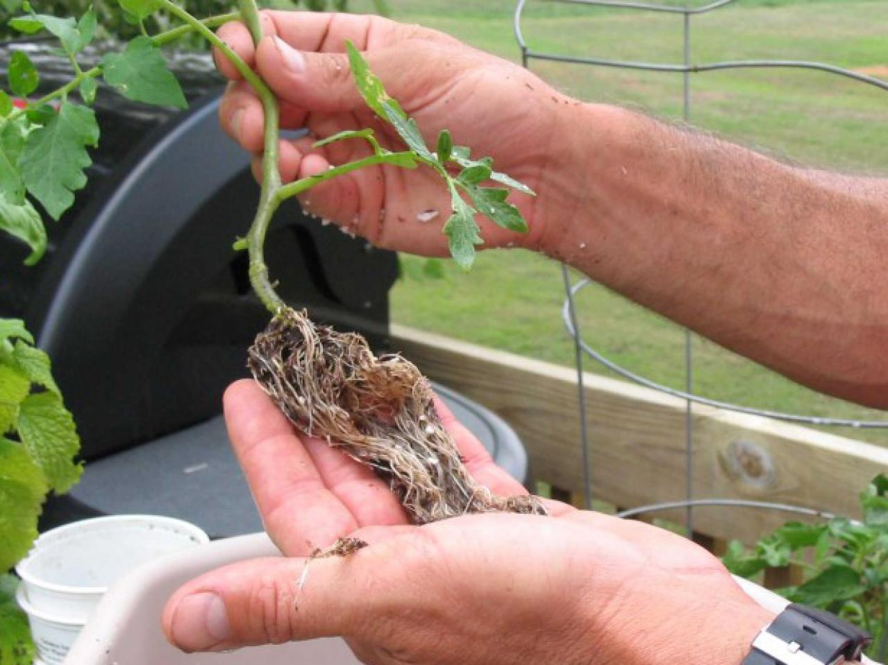 How To Assemble A Homemade Hydroponic System How Tos Diy