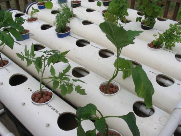 Homemade Hydroponic System