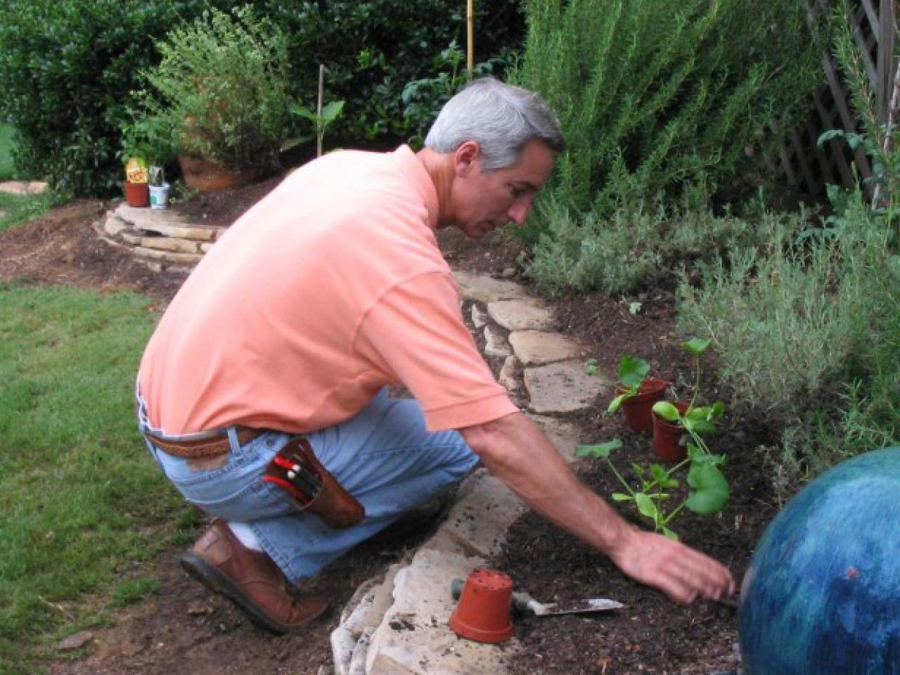 Incorporating Vegetables Into Flower Beds Diy