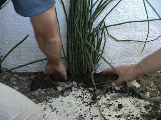 How To Fix Patio Drainage Problems How Tos Diy