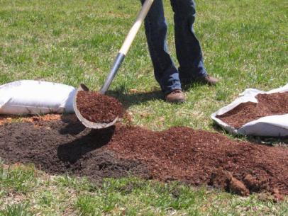 Can You Use Cow Manure On Lawn
