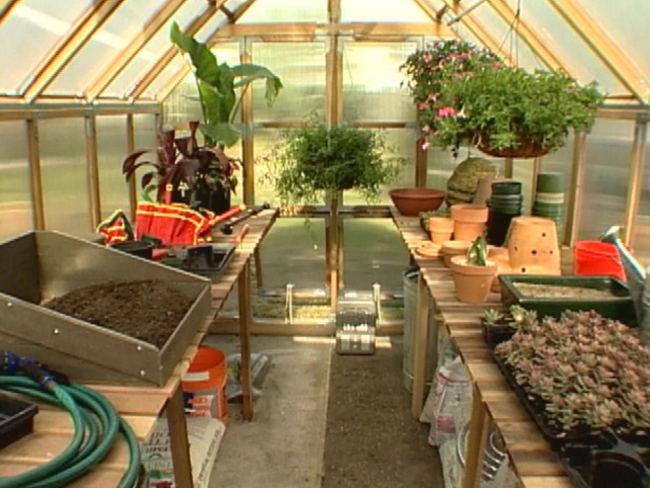 Backyard greenhouse winter