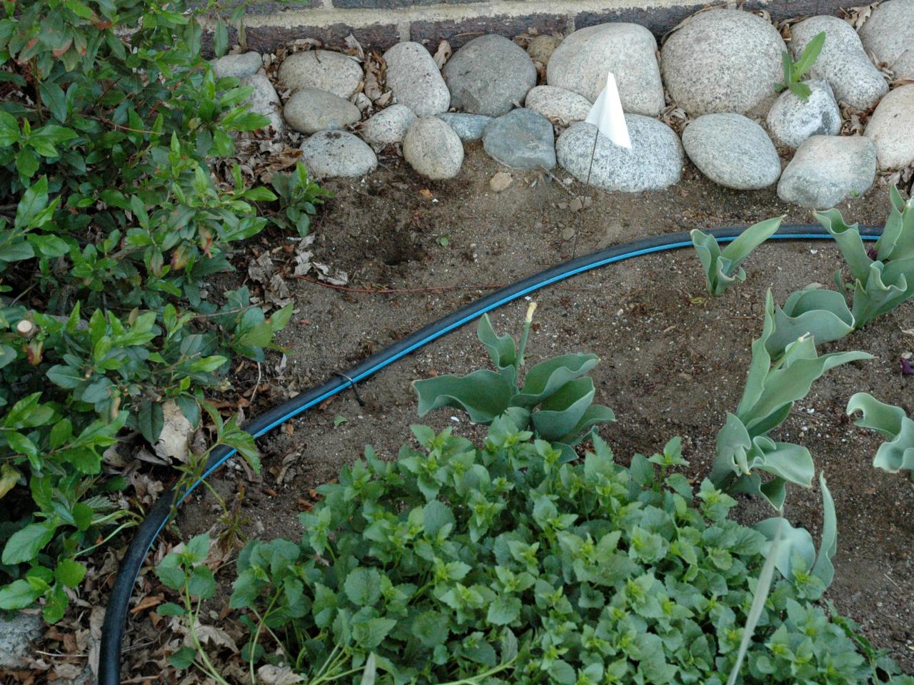 How to Install a Drip Irrigation System