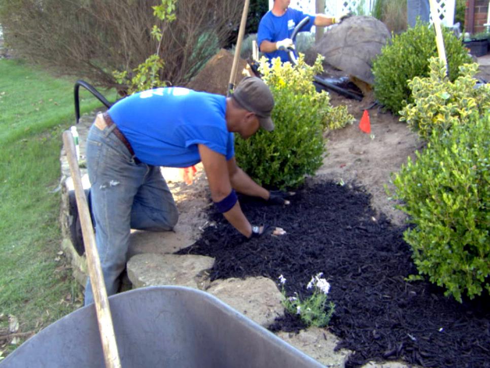 Front Yard Landscaping