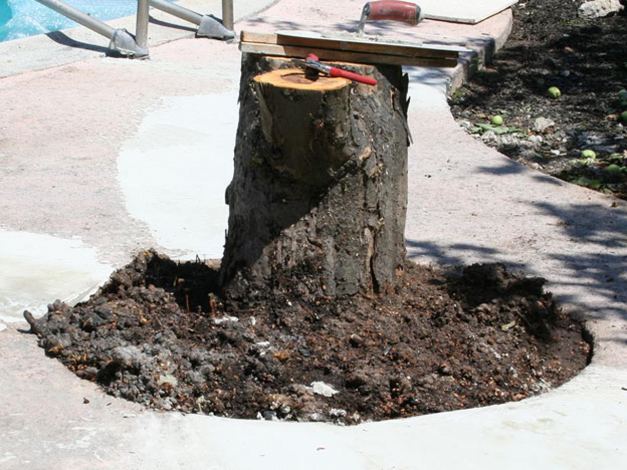 How To Create A Tree Stump Table How Tos Diy