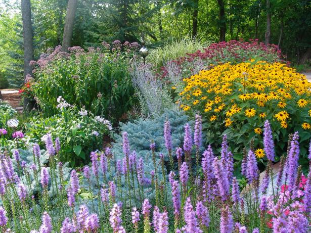 Wide view of a colorful floral garden on Rate My Space - purple, yellow, and red  colors highlight this landscape. 