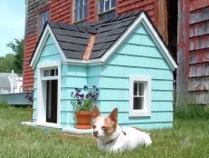 Light blue dog house with flowers, shingle roof and small dog on the grass next to it. 
