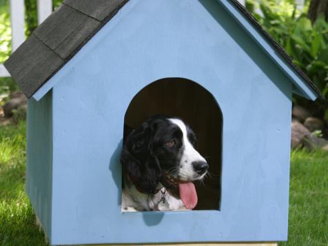 DIY Doghouse: How to Build a Simple A-Frame