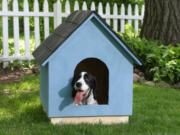 Simple A-Frame Doghouse You Can Build Yourself