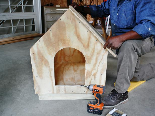 Man constructs a doghouse, while aligning roof panels on the top of the frame.