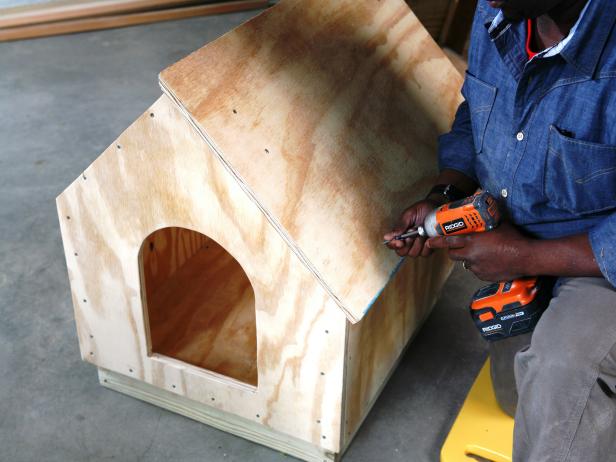 Constructing a dog house, while attaching the wood roof panel using a drill.